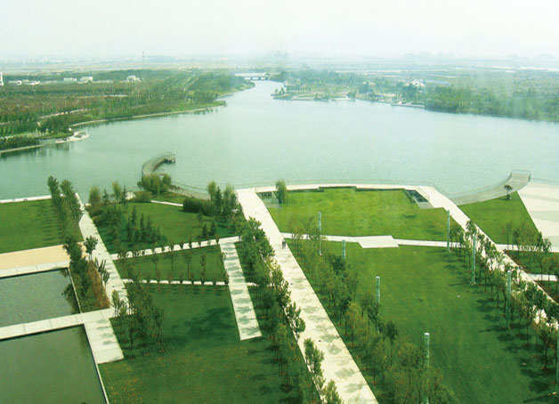青岛.jpg