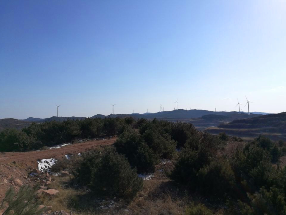 122.jpg