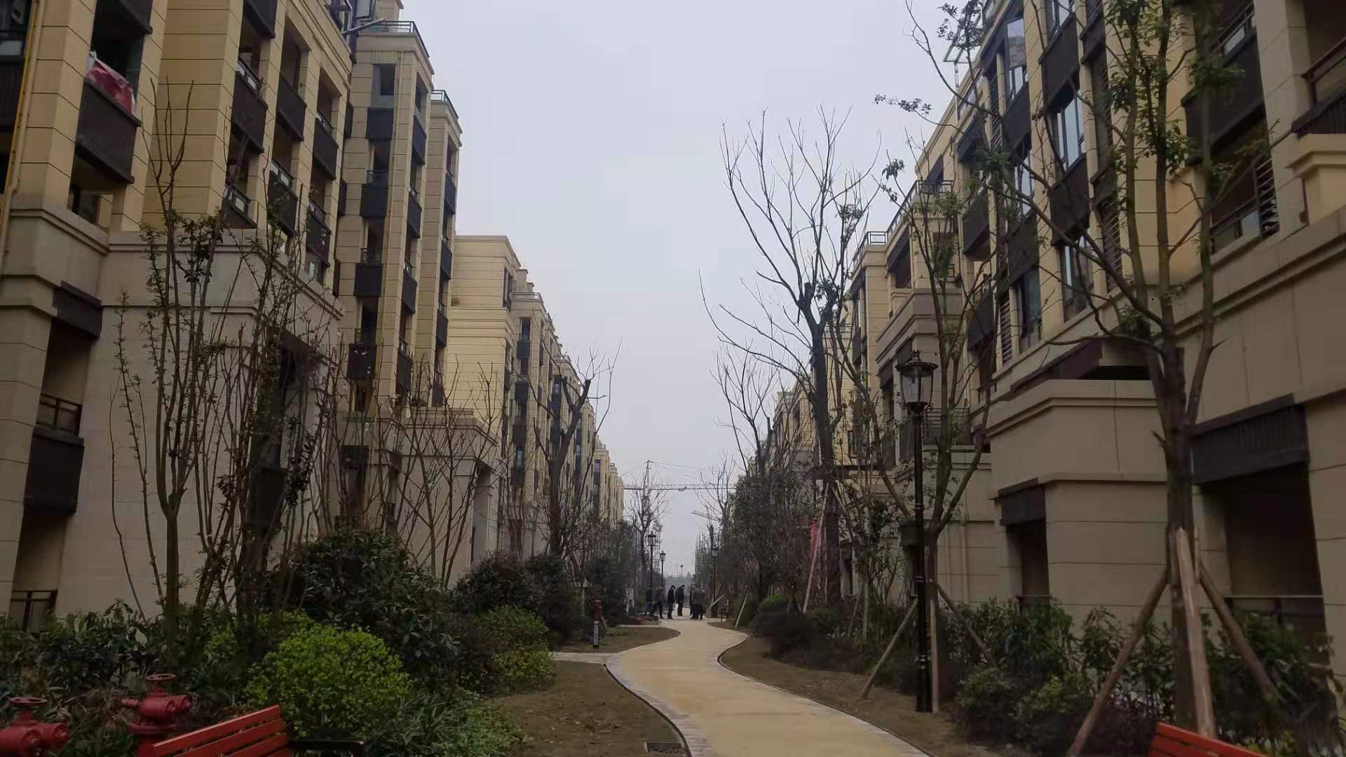 2019031214395570670.jpg